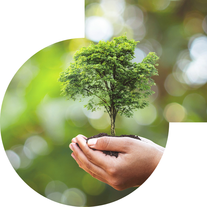 关怀人类、文化、环境与社会